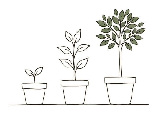 Croquis de trois plantes en pot de tailles croissantes, symbolisant la croissance progressive des formules